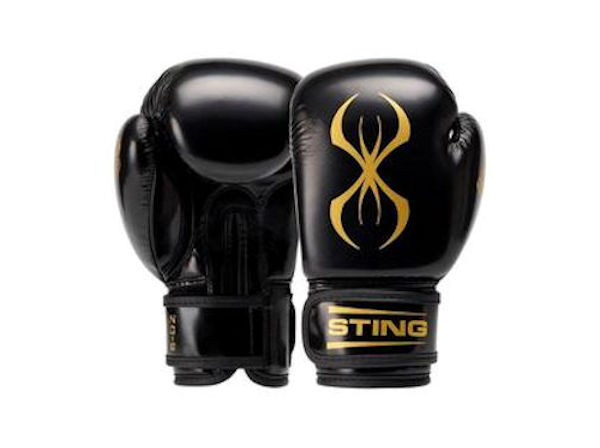 junior boxing equipment