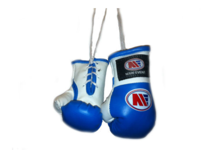 Main Event Mini Replica Hanging Boxing Gloves